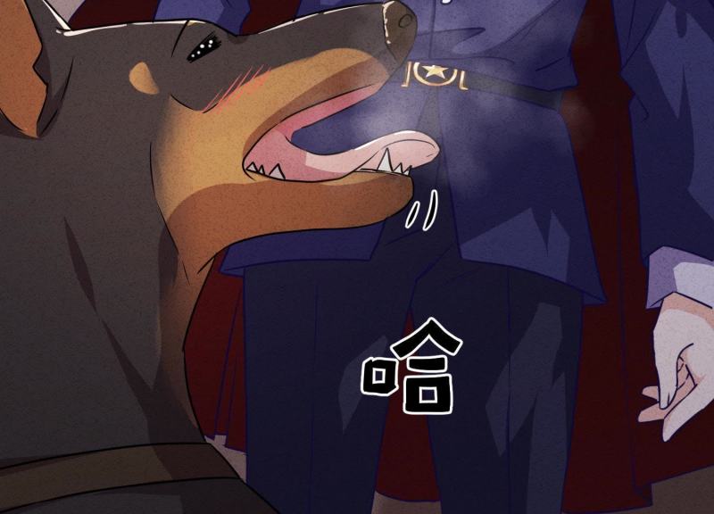 第 96 页