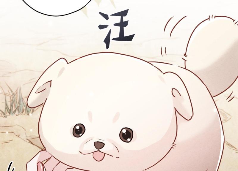 第 84 页