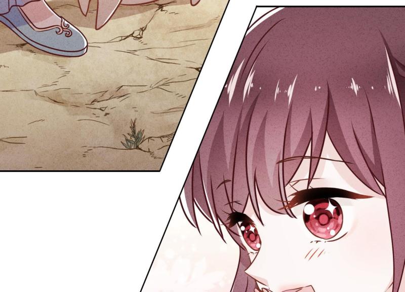 第 88 页