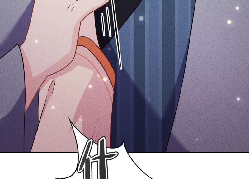 第 113 页