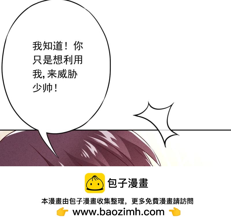 第 100 页