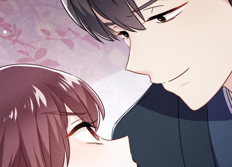 第 85 页