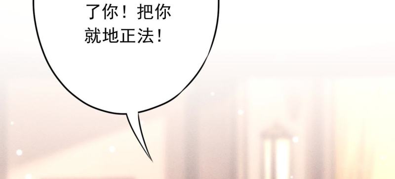 第 120 页
