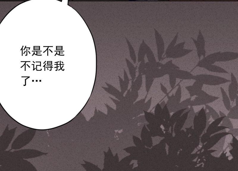 第 96 页