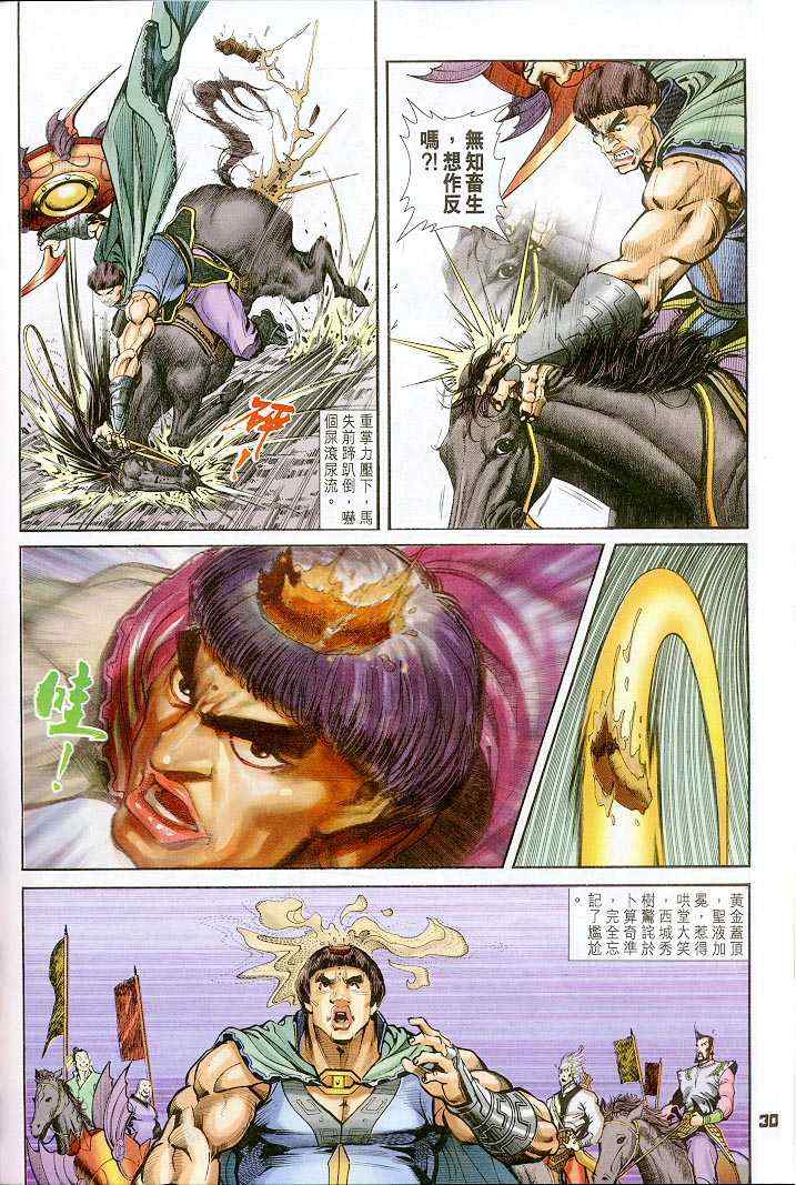 第 30 页