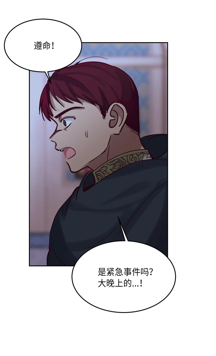 第 56 页