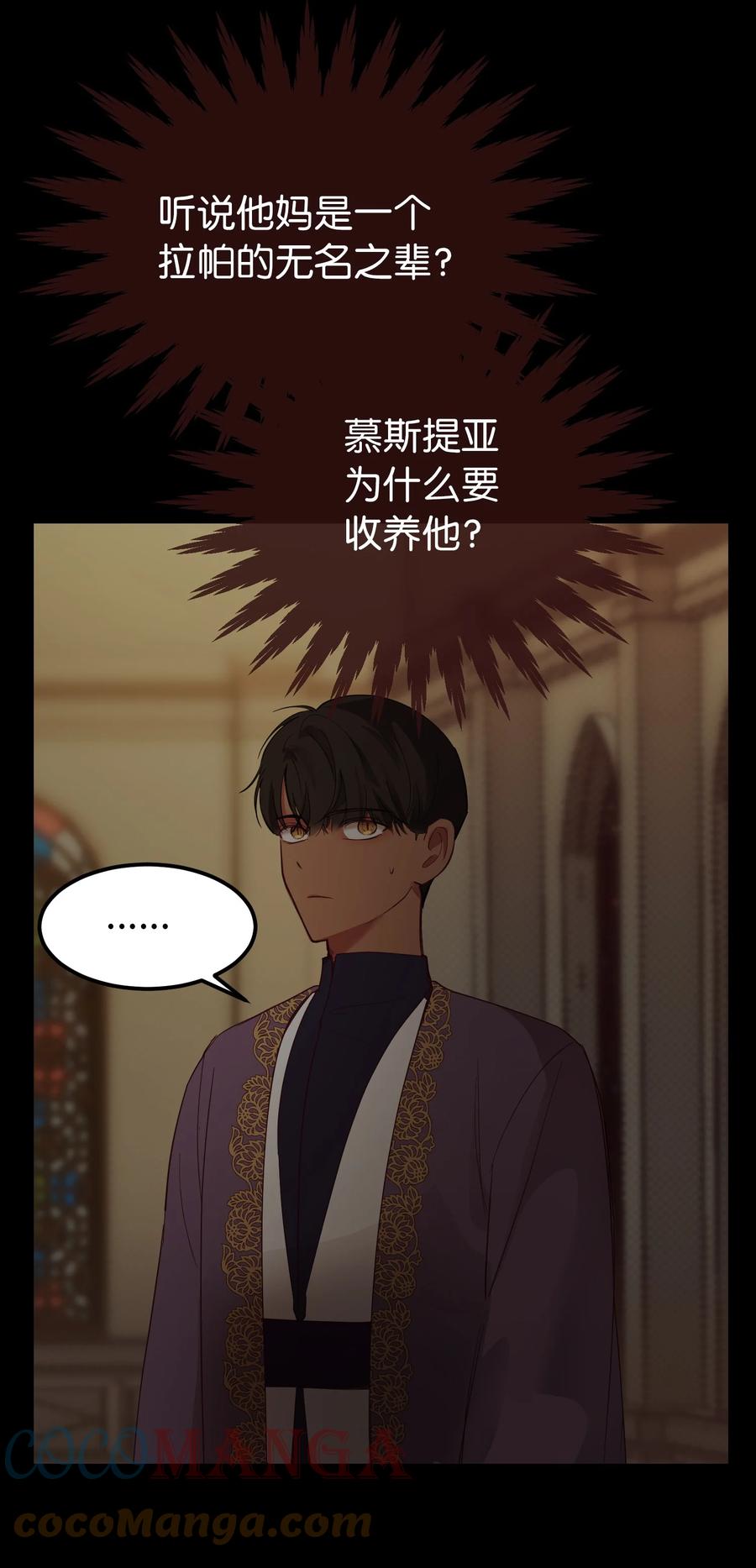 第 52 页