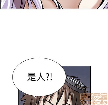 第 100 页
