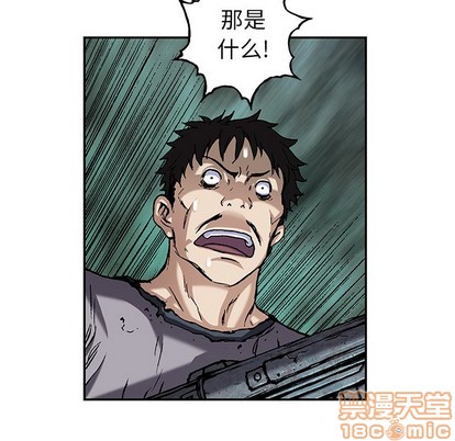 第 55 页