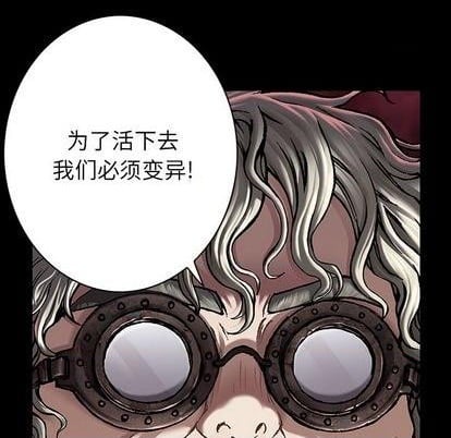 第 66 页