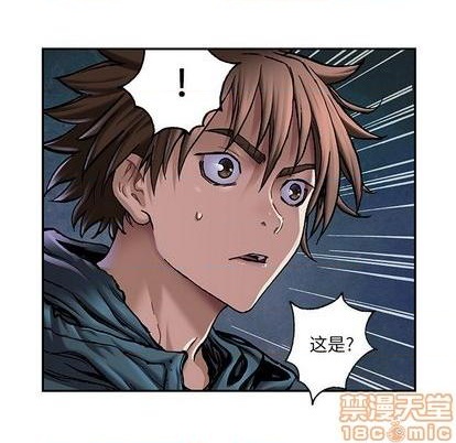 第 75 页