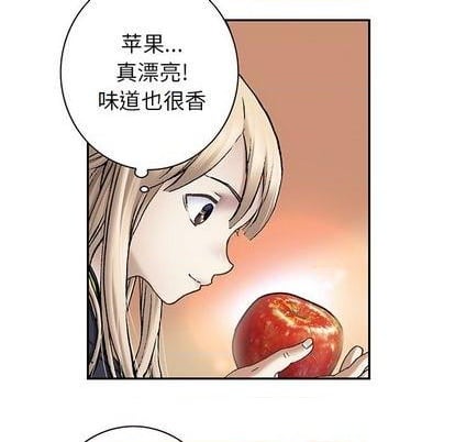 第 52 页