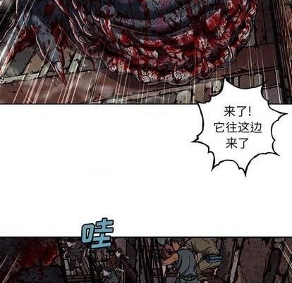 第 41 页
