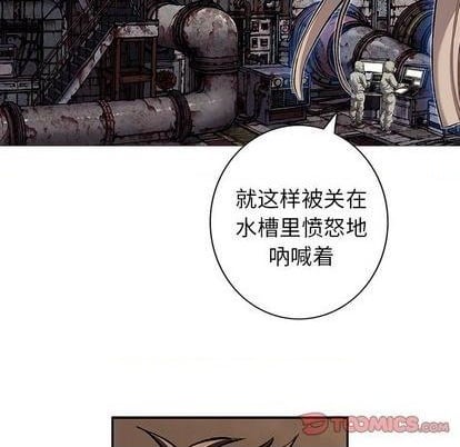 第 62 页