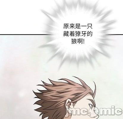 第 95 页