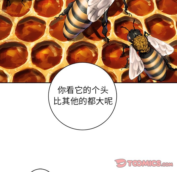 第 68 页