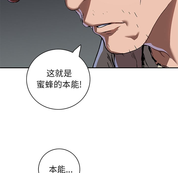 第 81 页