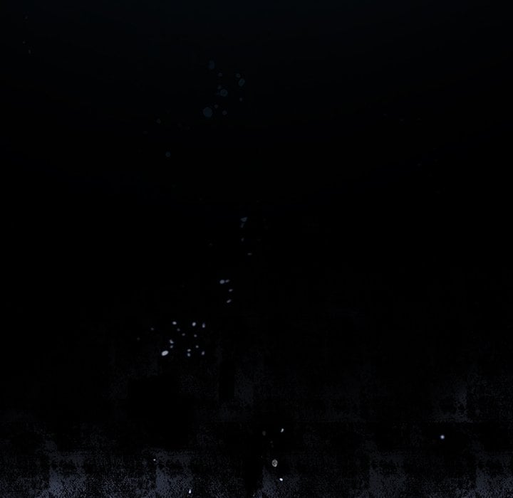 第 117 页