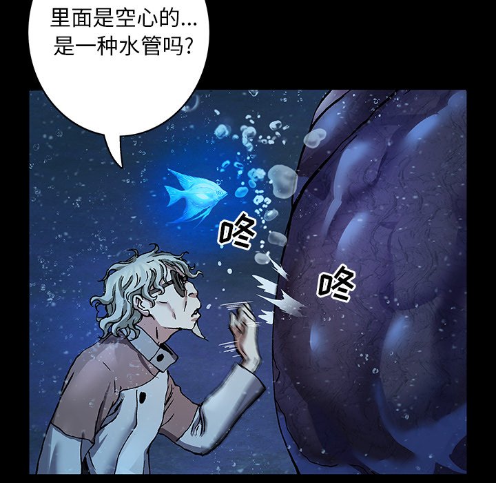 第 107 页