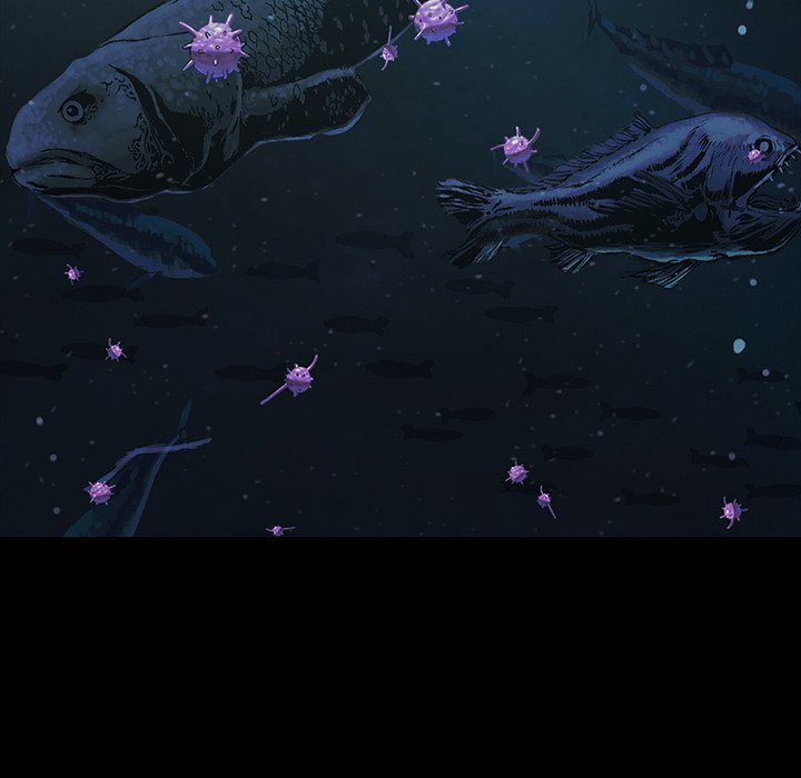 第 72 页