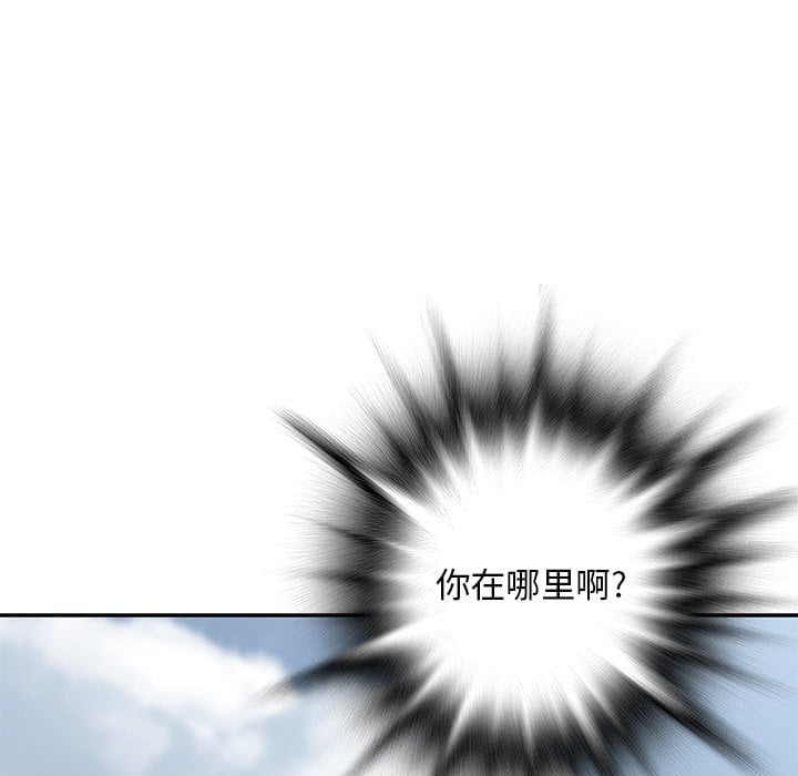 第 96 页