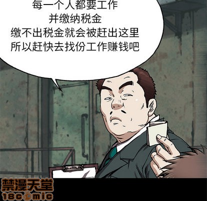 第 75 页