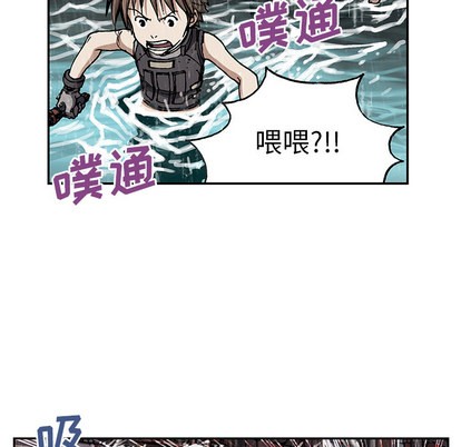 第 43 页
