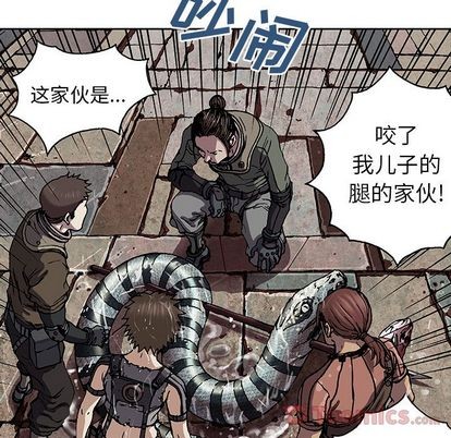 第 81 页