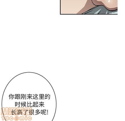 第 40 页