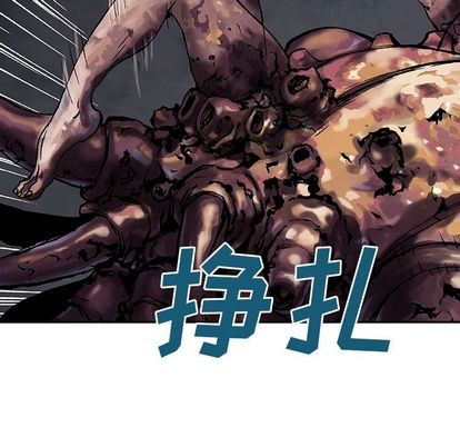 第 46 页
