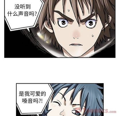 第 44 页
