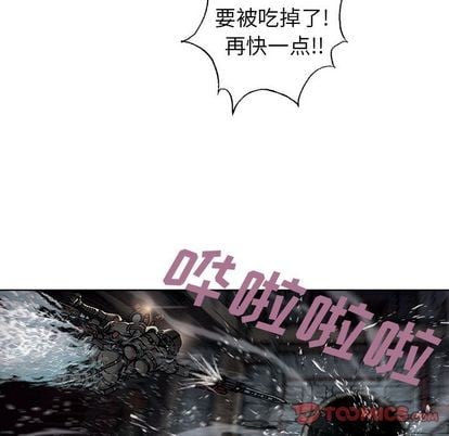 第 68 页