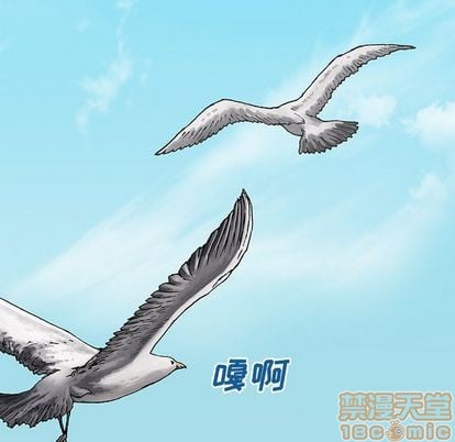 第 55 页