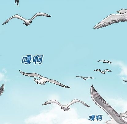 第 56 页
