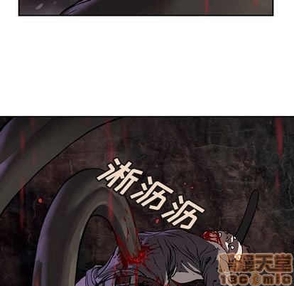 第 75 页