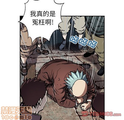 第 50 页