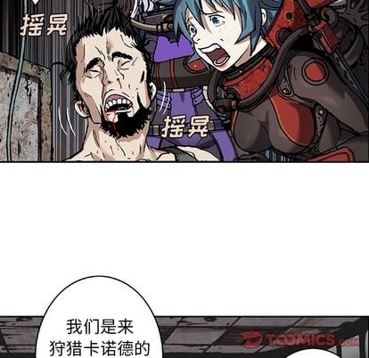 第 42 页