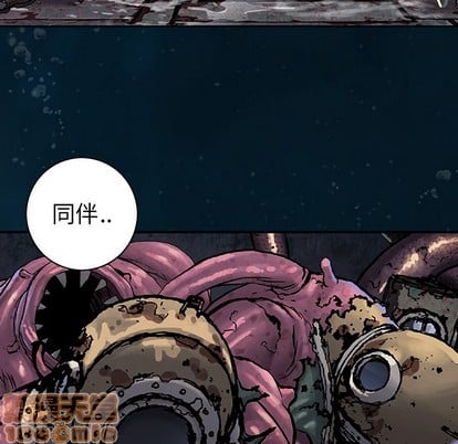 第 55 页