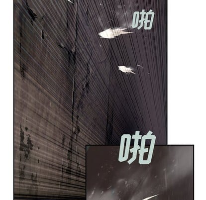 第 111 页