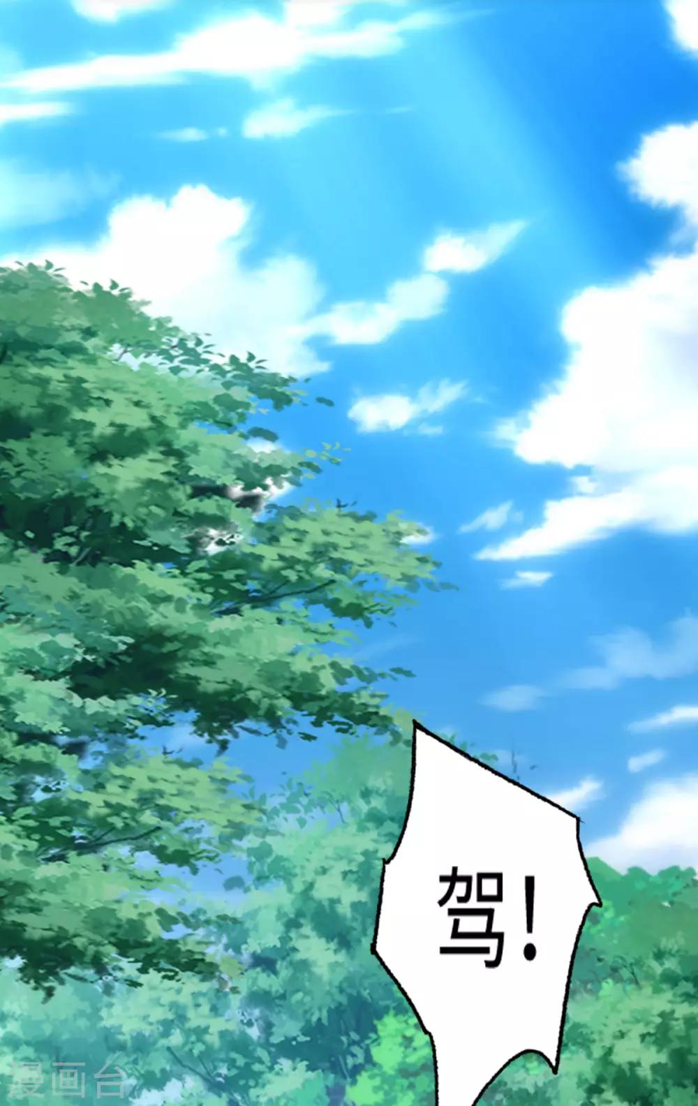 第 43 页