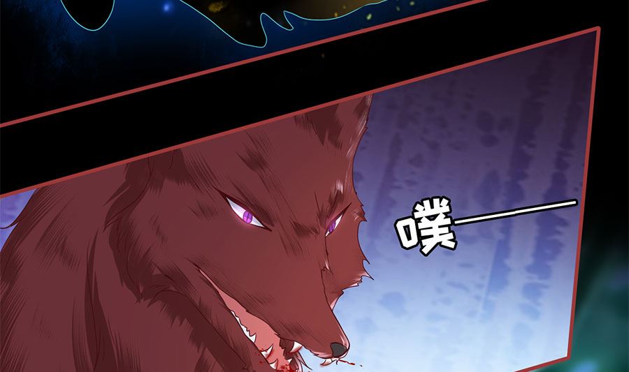 第 51 页