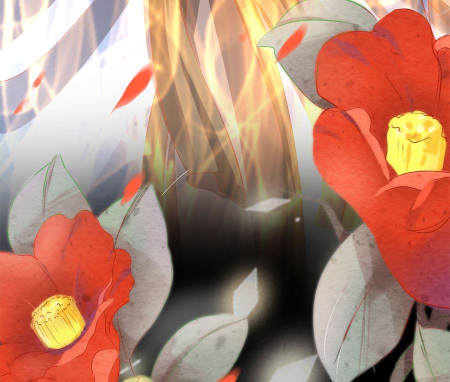 第 46 页
