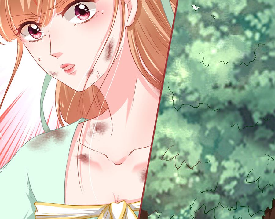 第 84 页