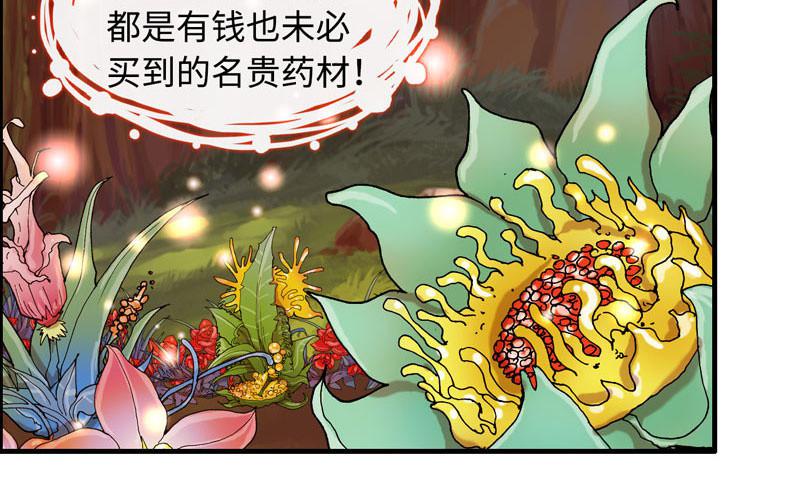 第 67 页