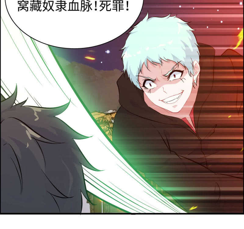 第 48 页