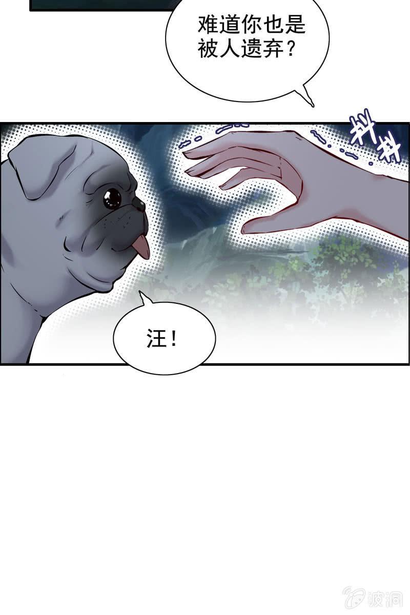 第 116 页