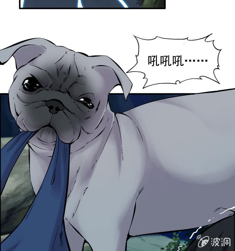 第 120 页