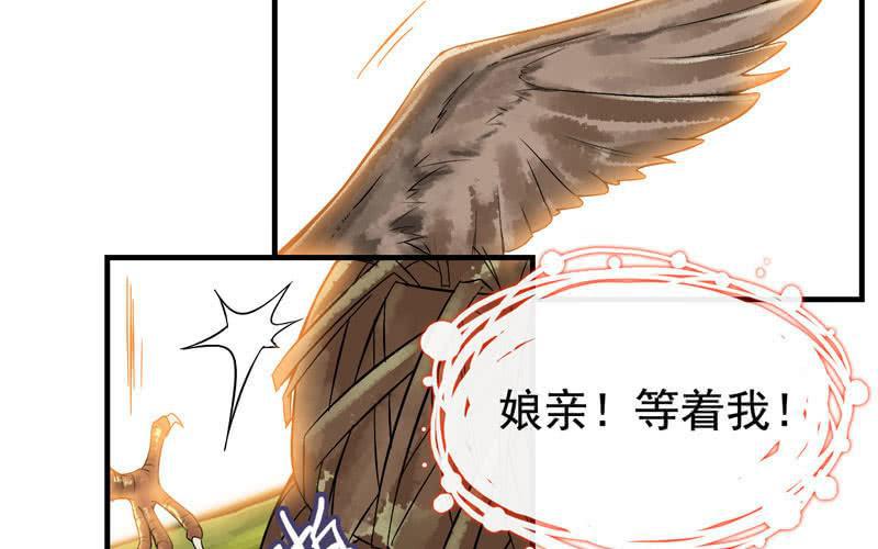 第 102 页