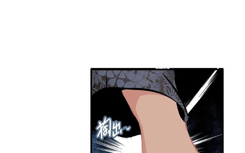 第 51 页