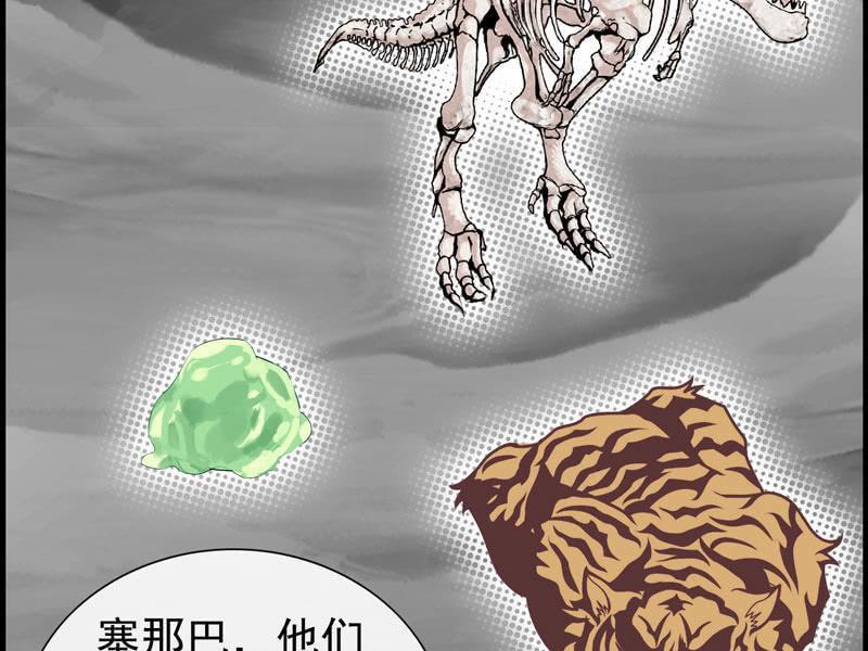 第 52 页